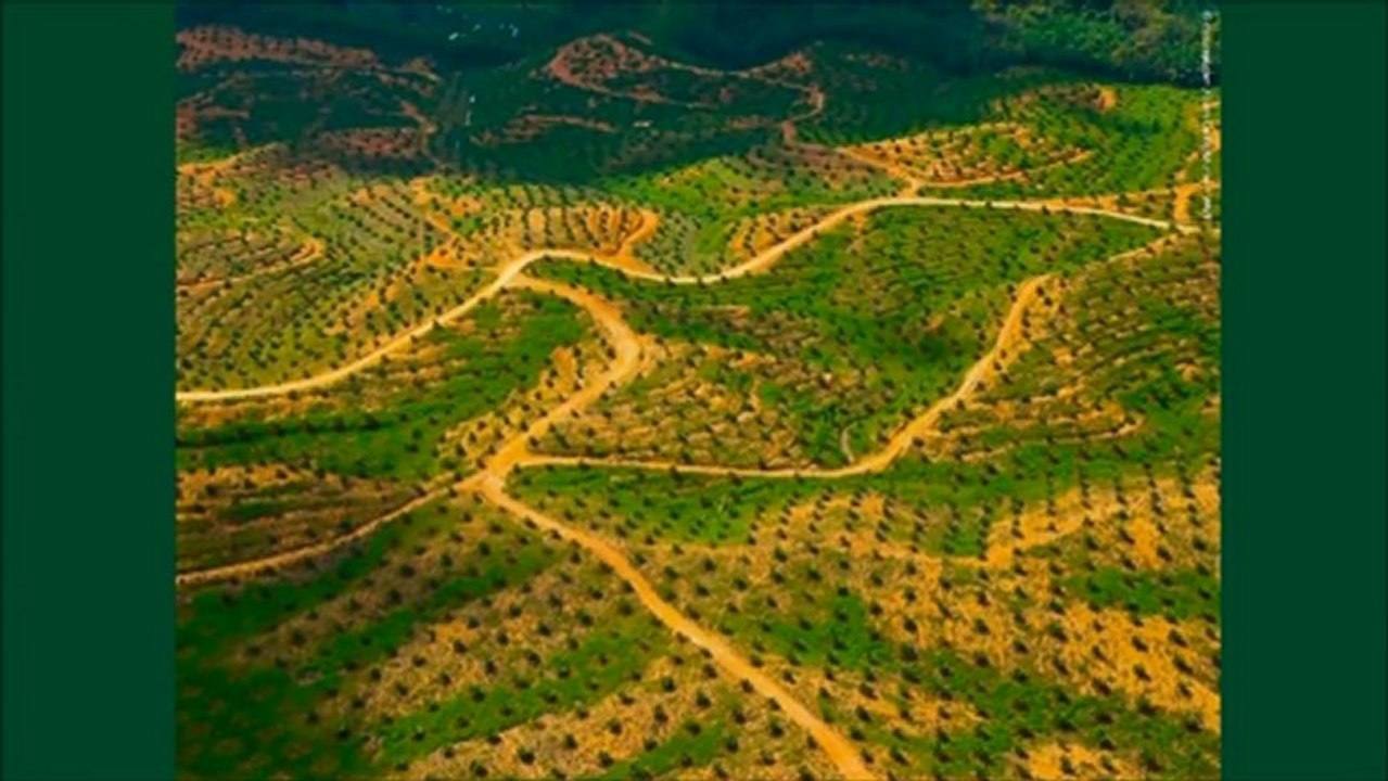 Innovating for Sustainability - Challenges and Opportunities Post Rio+20 part 1