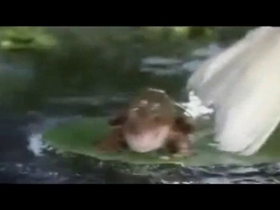 My Love Fall Down Joao Funkyj New Funk 2013