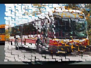 San Francisco Party Bus