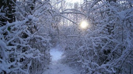 Mi-Janvier 2013 : Neige et vague de froid dans le Nord
