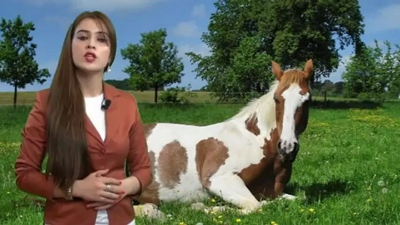 Bunları bilirsinizmi