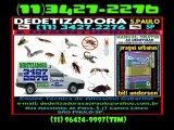 DEDETIZAÇÃO São Paulo 11 3427 2276 ou 96424 9997 tim