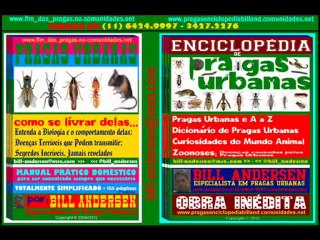 TREINAMENTOS Pragas Urbanas SP 11 6424 9997 BILL ANDERSEN