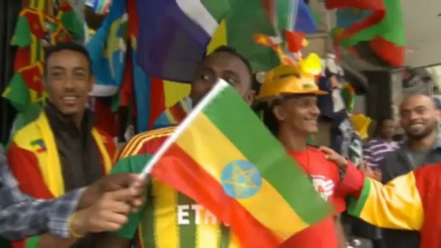 Copa África - Igesund cree que Sudáfrica puede ganar la copa