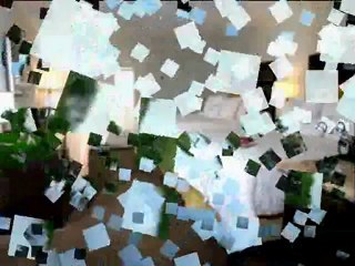 Hotels near everglades holiday park