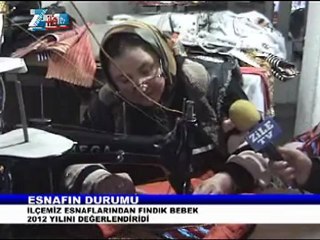 FINDIK BEBEK DEN 2012 DEĞERLENDİRMESİ