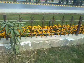 Shoq chowk www.globalsourceonline.com