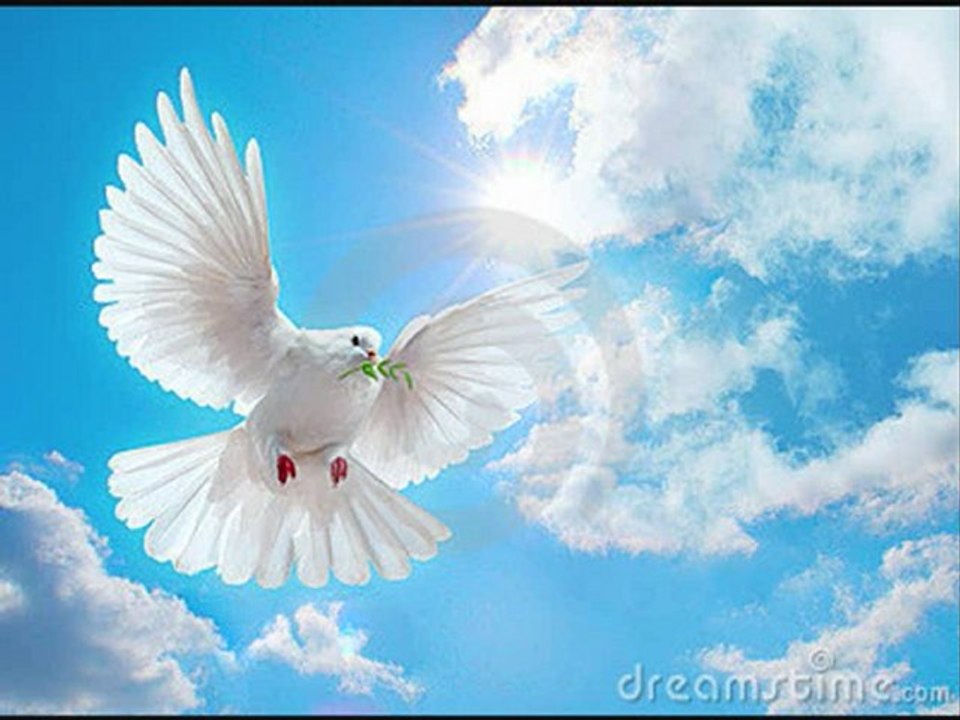 in my dream
