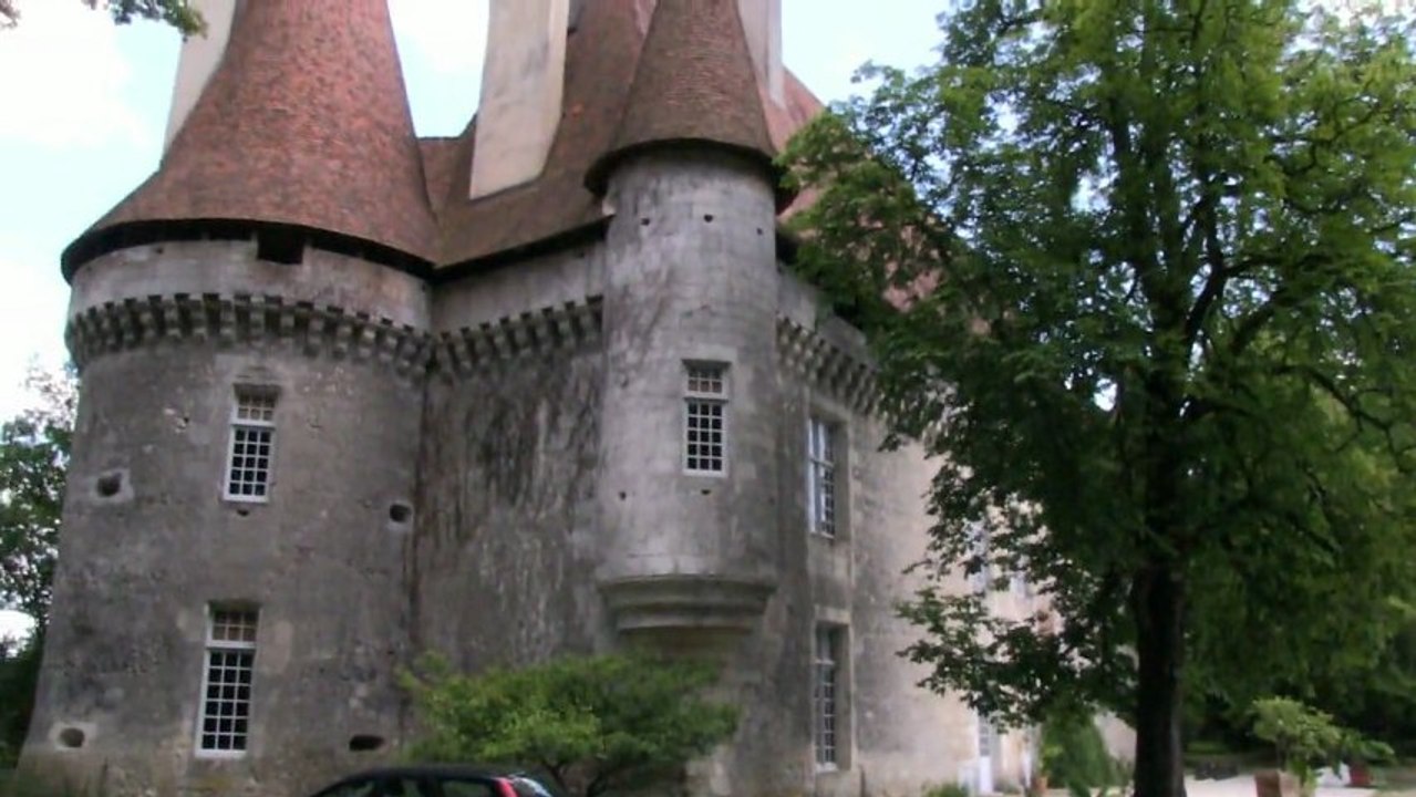 PUYFERRAT test XDCAM 4/2/2 HD 108050I  & steadicam / flycam