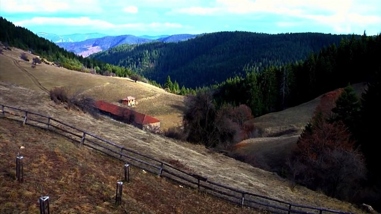 Zabardo Hunting Range - 2013
