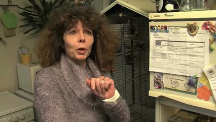 Les trophées de l'éco-citoyen - Catégorie déchets