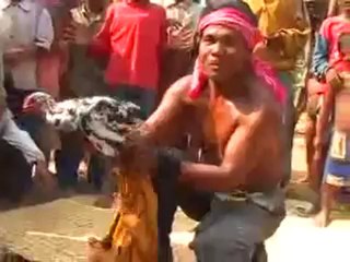 Magie Noire au Cambodge : il tue un poulet et le ressuscite !