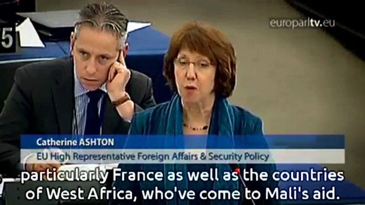 Plenary zapping - January 2013