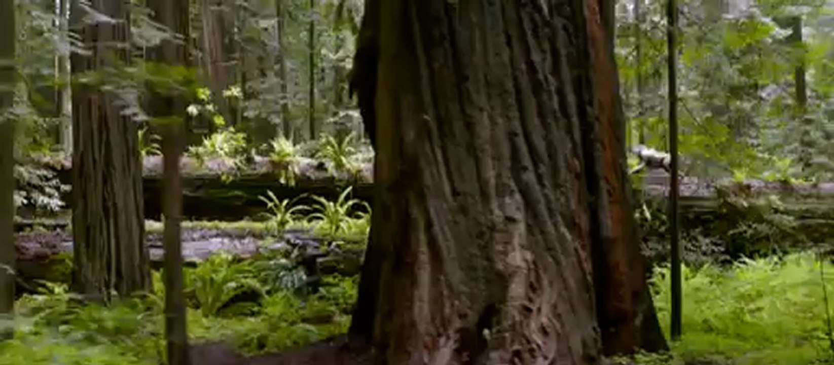 After Earth - Beyazperde