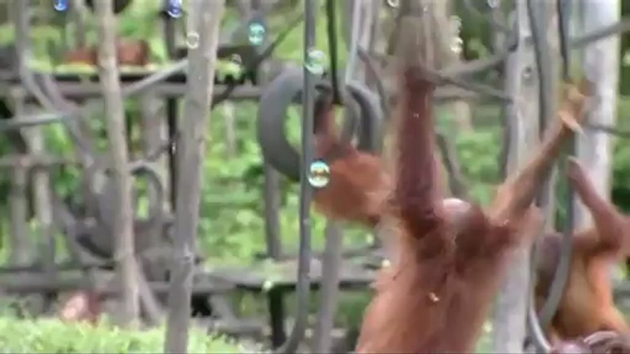 ou