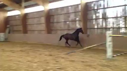 Forfairly Champeix - saut en liberté