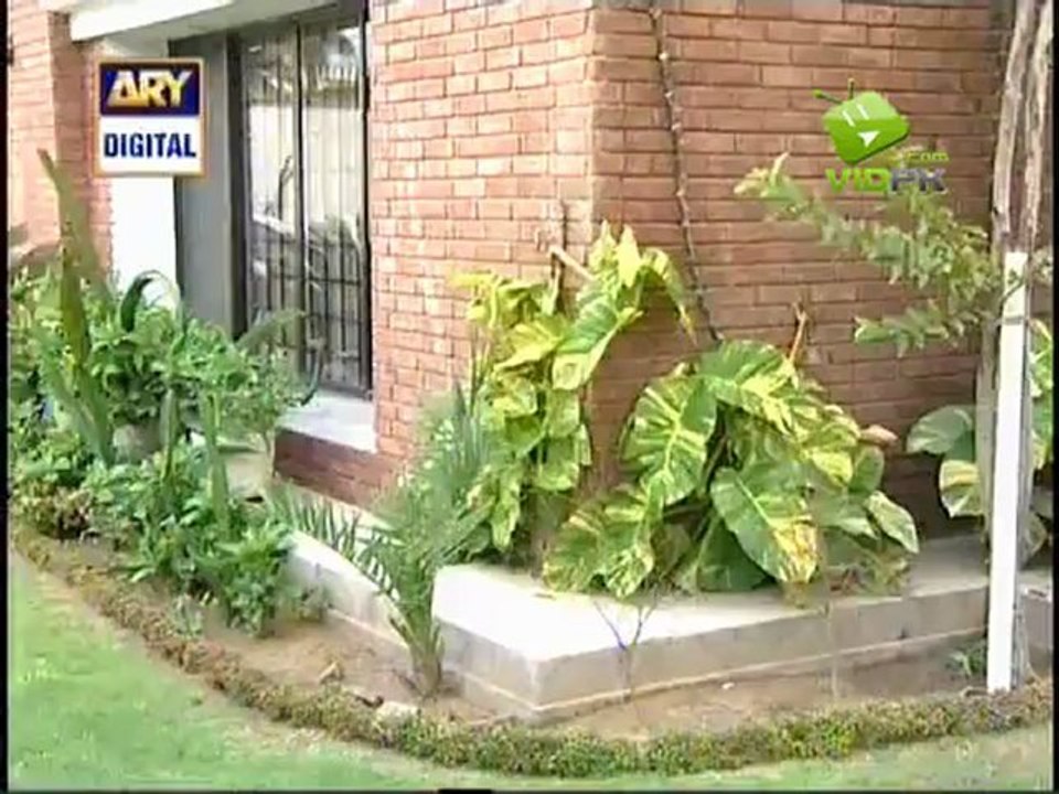 Bulbulay Episode 106