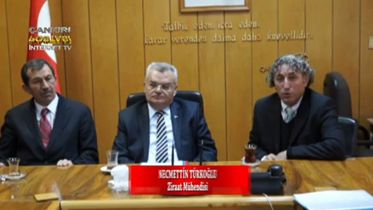 Kaya Tuzundan Arı Kovanı Arıların Hayatını Kurtaracak