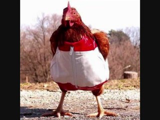el baile de la gallina - YouTube