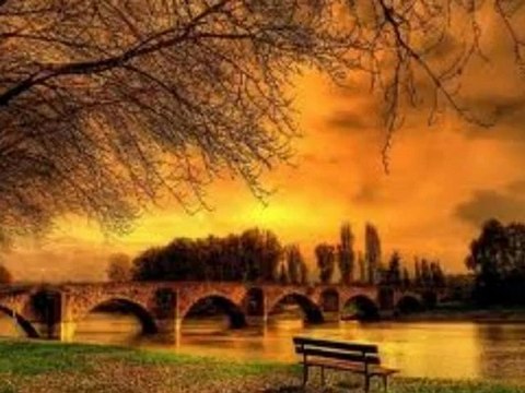 phil collins another day in paradise Par Fernand