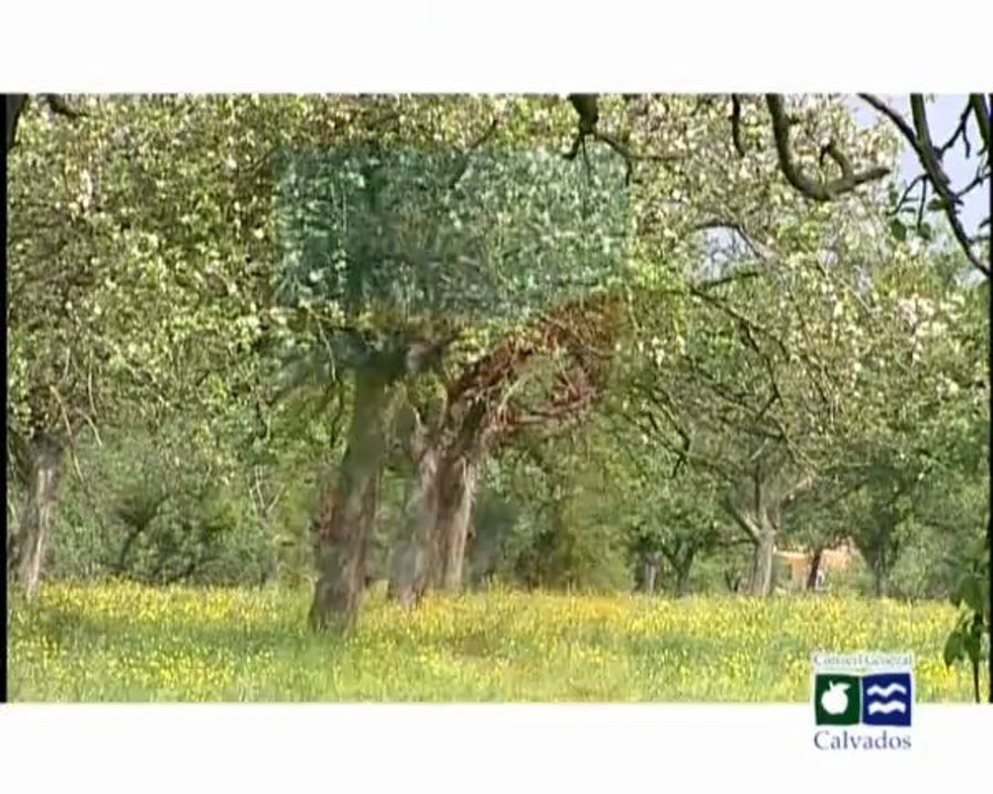 Conseil Général du Calvados Missions et Services