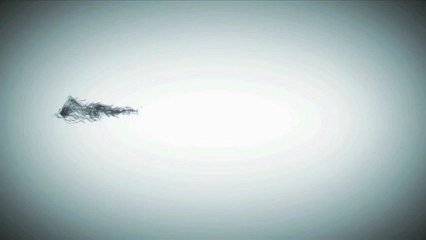 ZAPPING ACTU HEBDO DU 19/01/2013