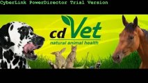 Natural raw food diet for cat. Why natural raw food diet is good for your cat?