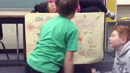 The Circulatory System