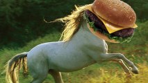 Horse Meat Found in UK Supermarket Ground Beef