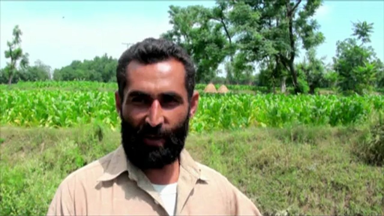 swabi final-short