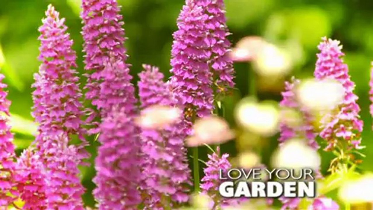 Love Your Garden 3