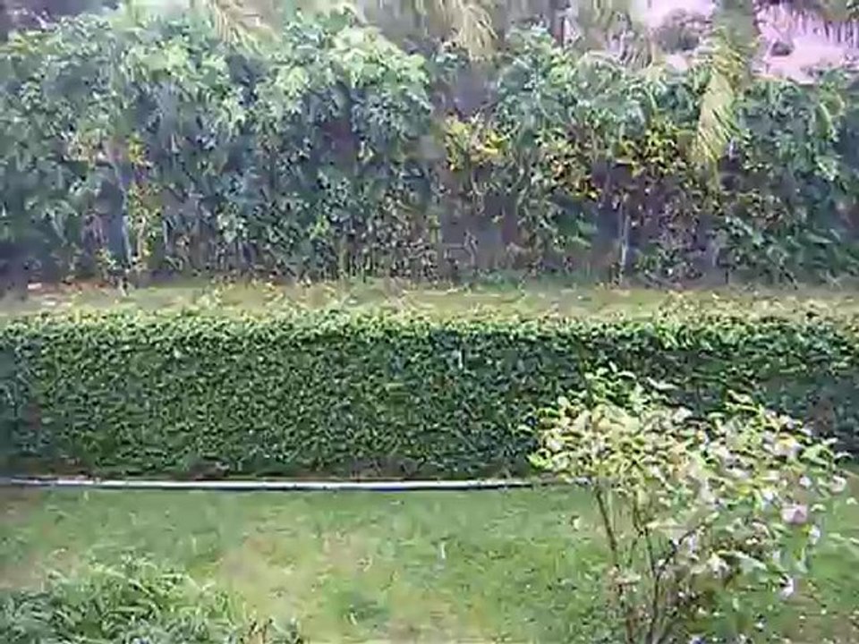 La pluie