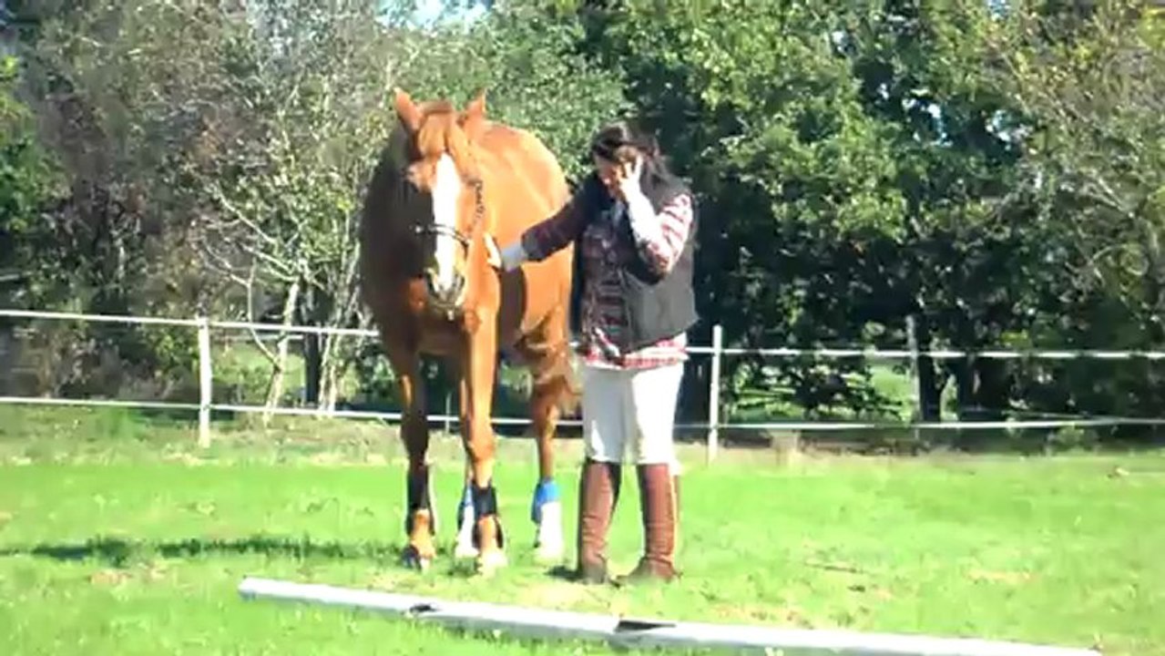Calin avec mon vieux TF