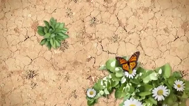 Deerbrook Exterminating (281) 358-7378