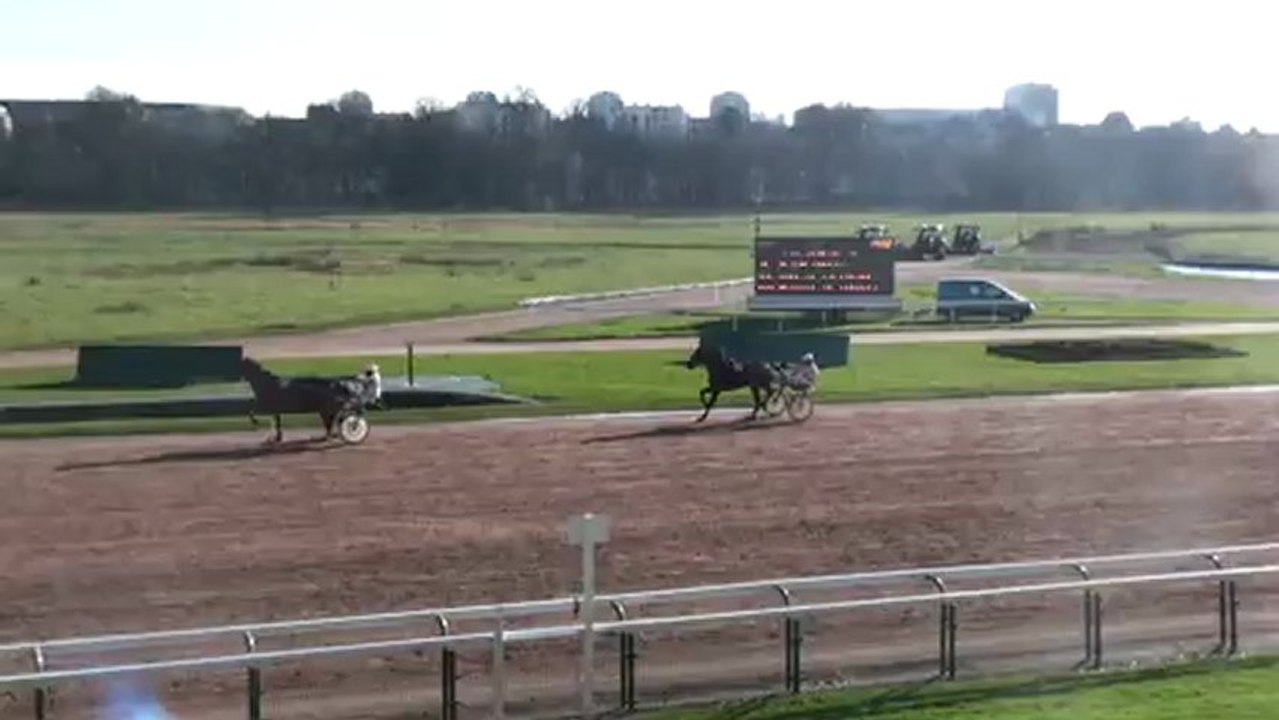QUALIFICATION D'AIRELLE DU VIVIER