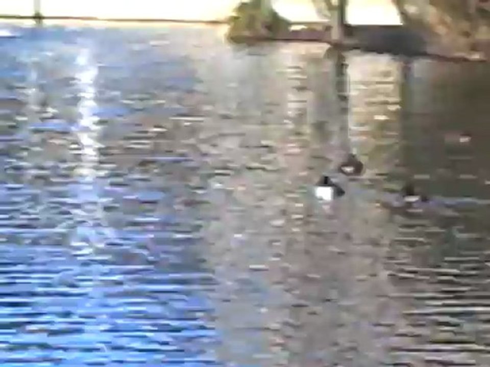 CLIP0470