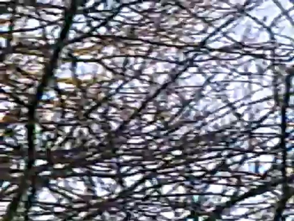 CLIP0465