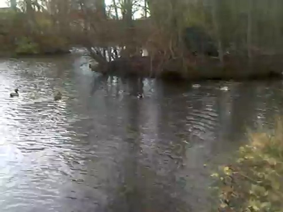 CLIP0456