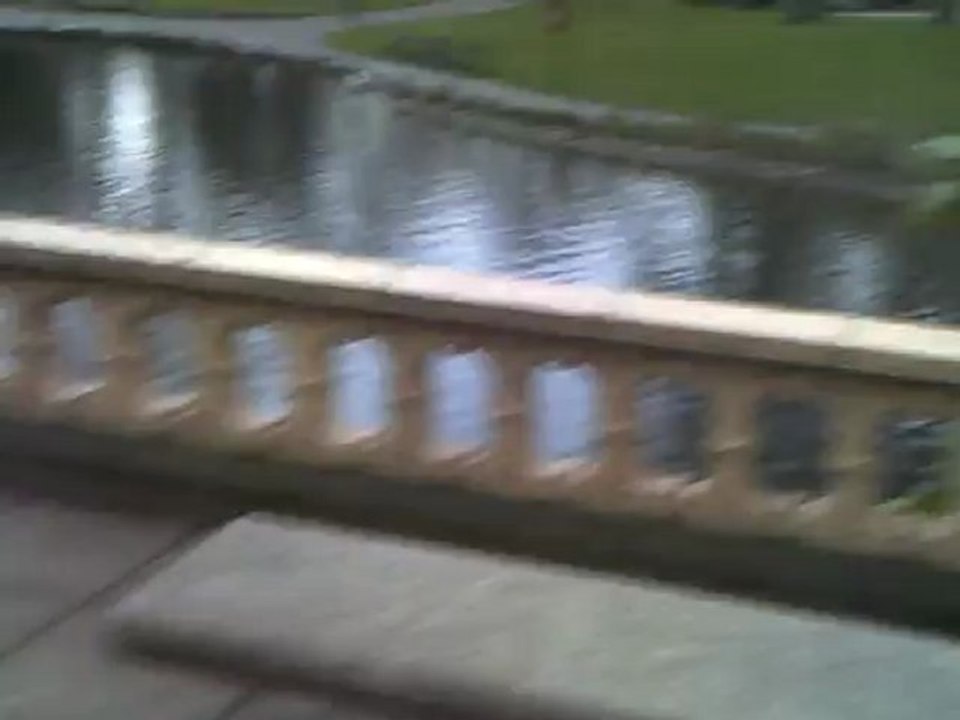 CLIP0442