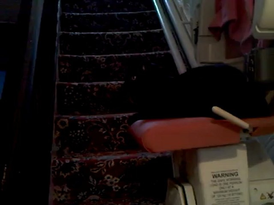 CLIP0441
