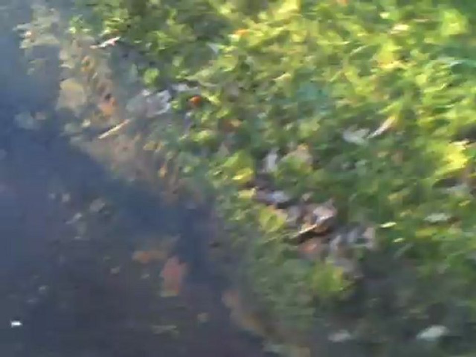 CLIP0435