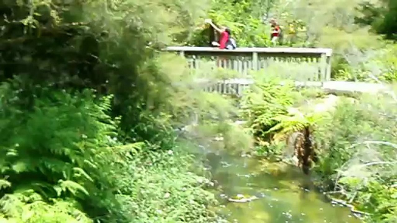 Petit geyser !