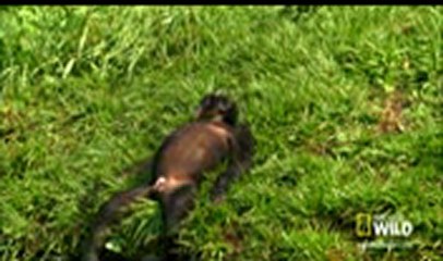 중국카지노 ✣✤ＸＥＤ７００．ＣＯＭ ✤✣ 온라인룰렛게임