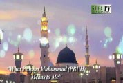 What Prophet Muhammad (PBUH) Means to Me by Hafiz Muzammil AbdulMajid