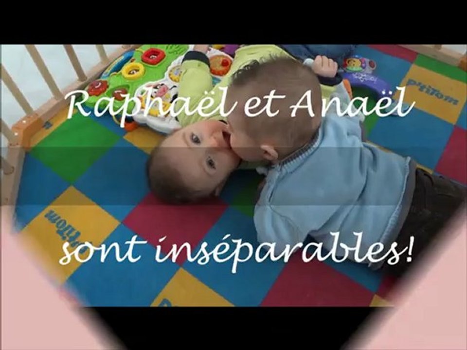Baiser fraternel 19 janvier 2013