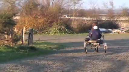 BINGO DU LYS SUR LA PISTE DE CARENTAN