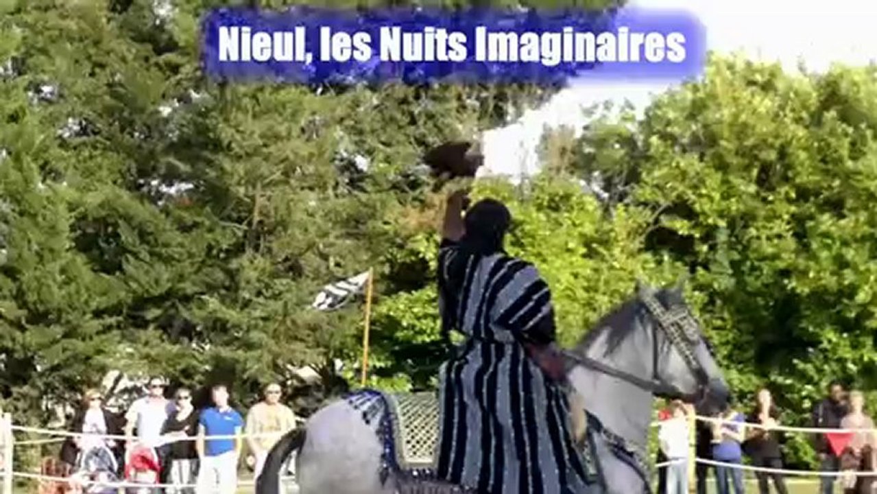 Demonstration de Fauconnerie,les nuits imaginaires  Nieul sur  l'Autize