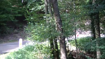 Frederic Hauswald au rallye de France 2012