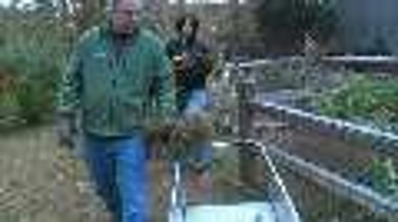 Putting Your Vegetable Garden to Bed