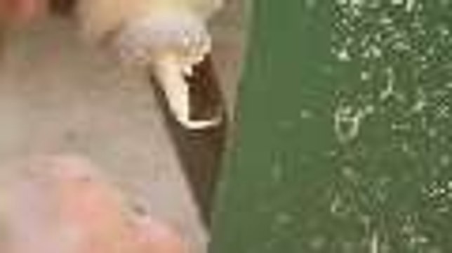 Small-Scale Drywall Texturing